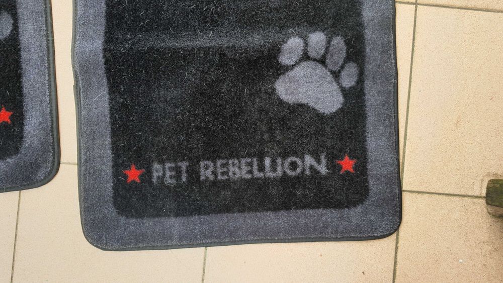 Três proteções para o transporte de animais de estimação