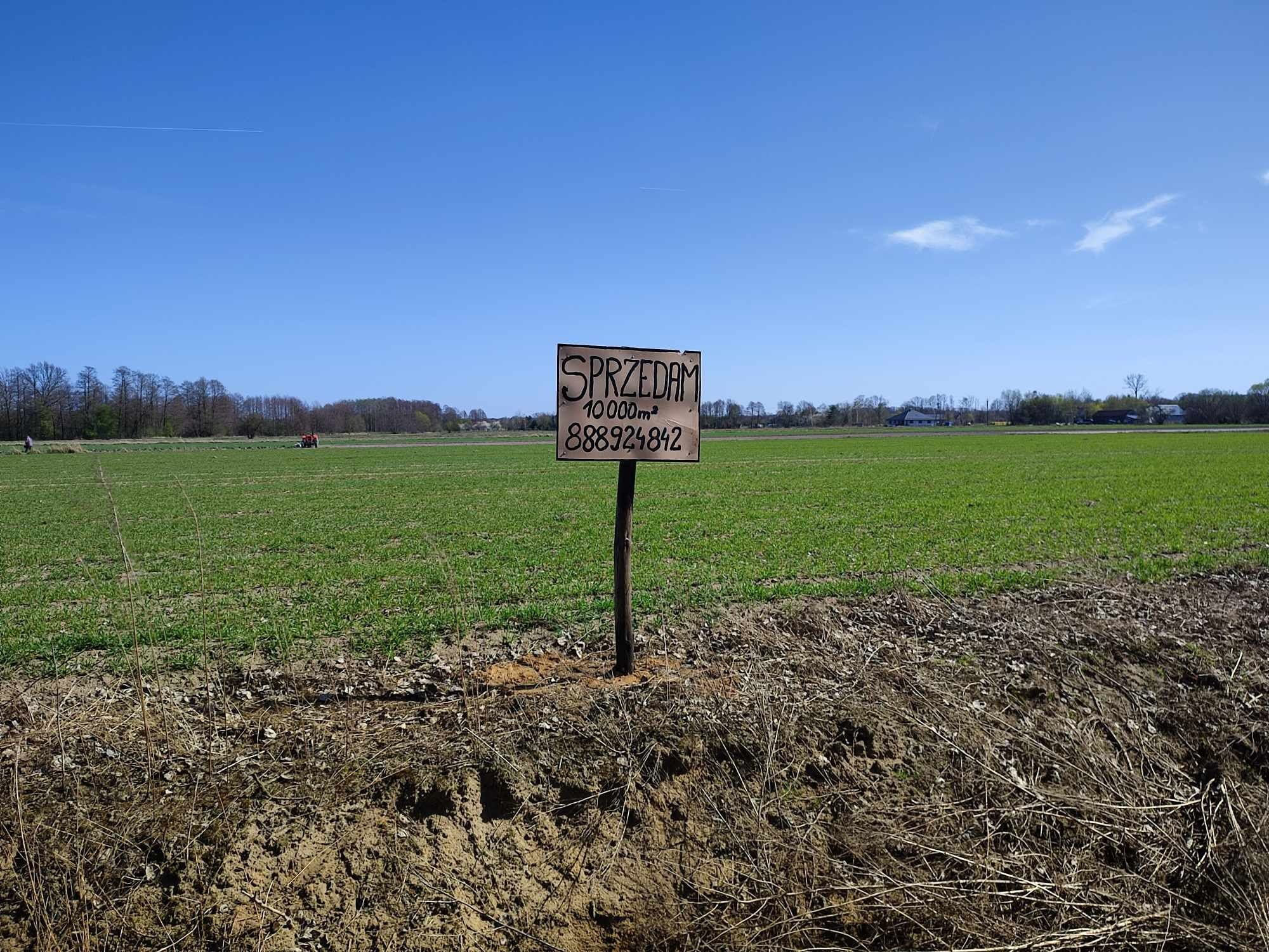 Sprzedam działkę 12000 m² w Aleksandrii  koło Żyrardowa