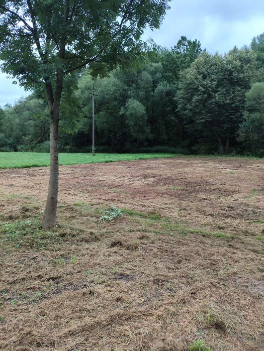 Działka 33 ary - Orzechówka