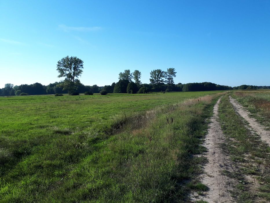OKAZJA 14km Morze, 4złote m2, 9800m2 Duże działki, Siemidarżno OKAZJA