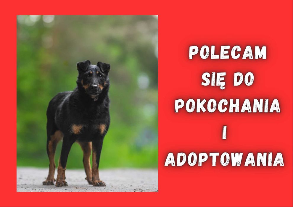 OMINA - marzy o nowym domu i rodzinie :)