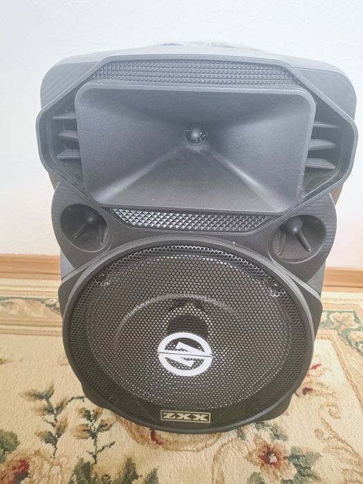 Активная колонка  ZXX 1209