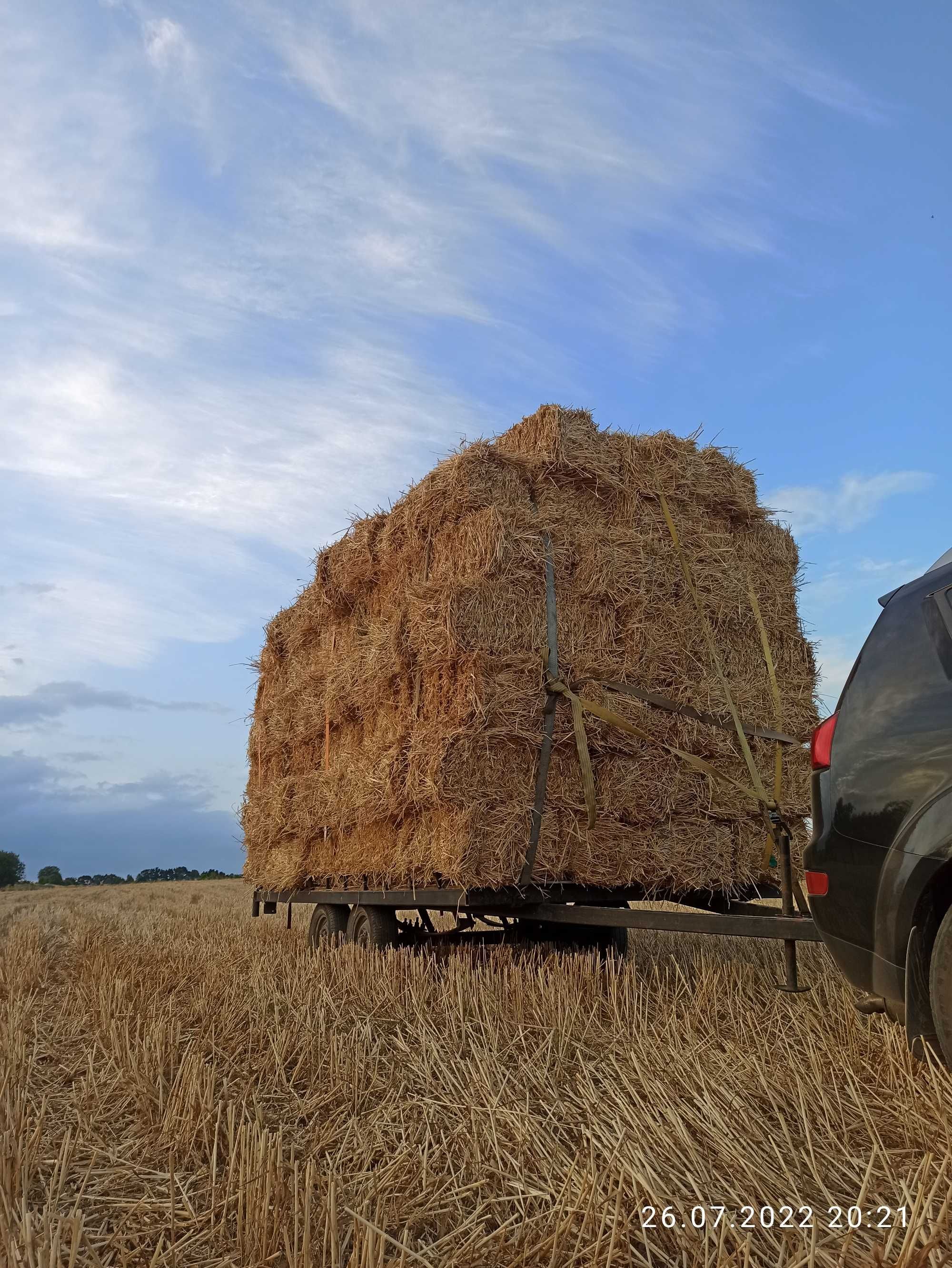 Продам сіно в тюках, можлива доставка