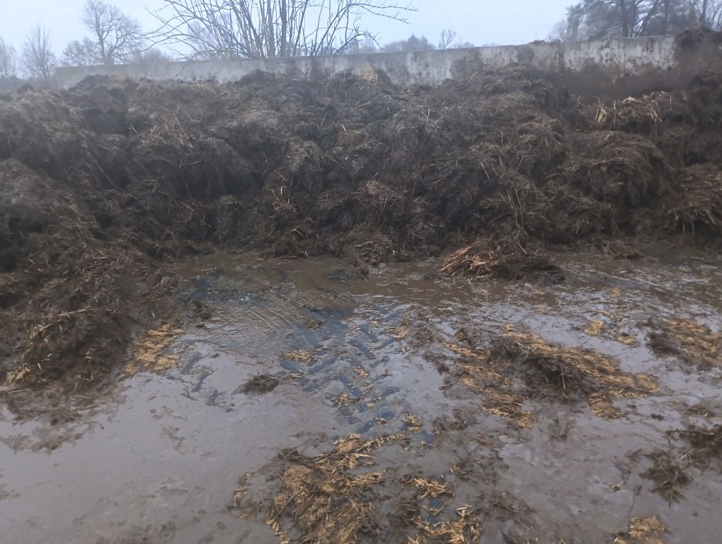 Obornik bydlęcy krowi dostawy 25 ton