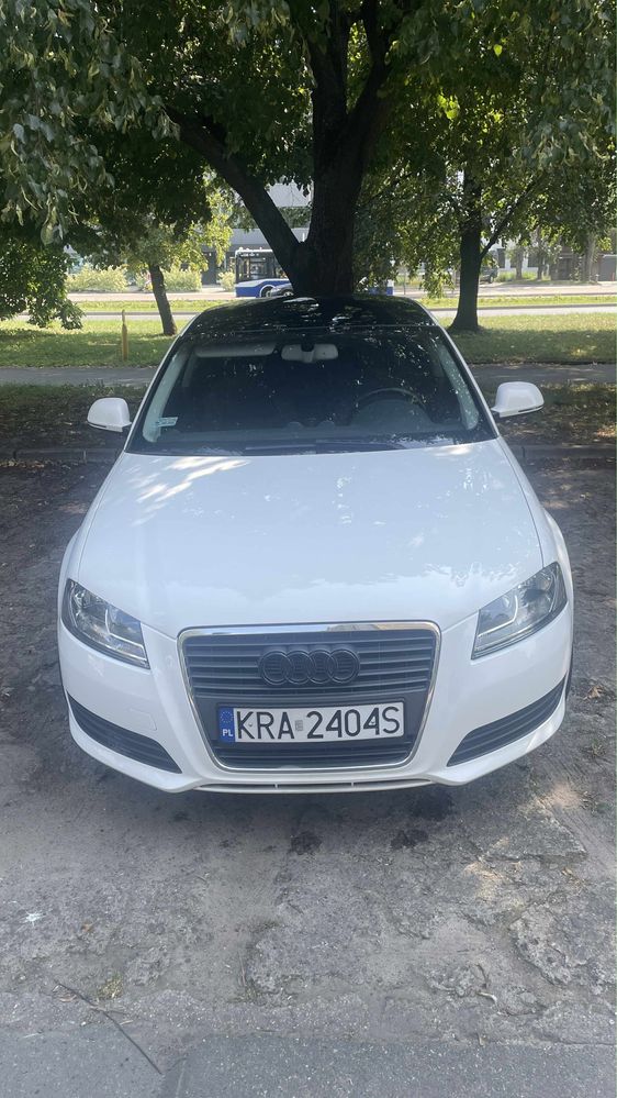 Audi a3 8p 2.0TDI