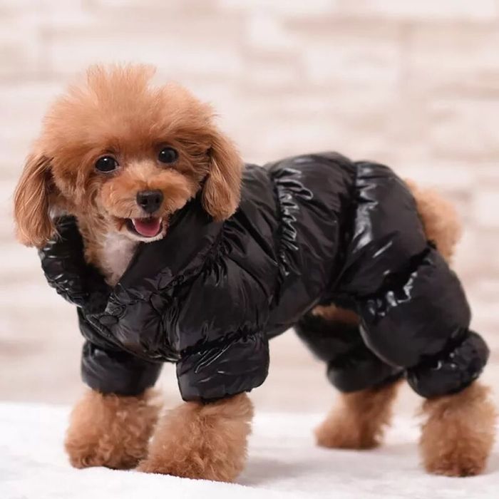 Одежда Комбинезон куртка для мелких собак р. ХС-С-М