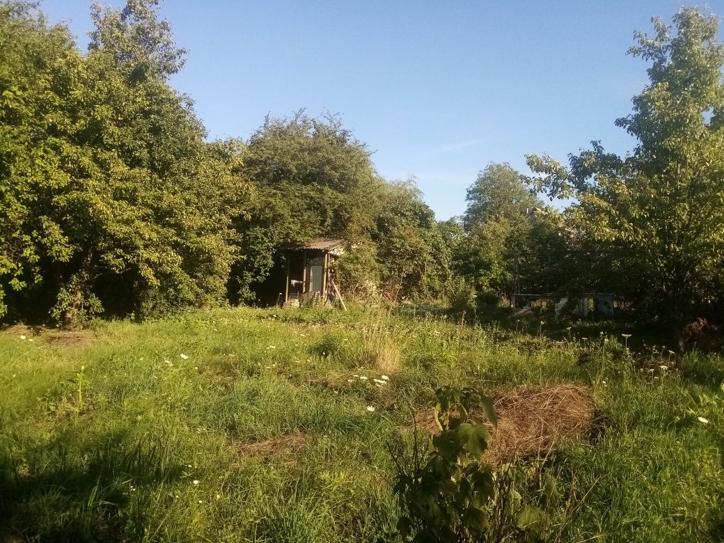 Продається дачна ділянка