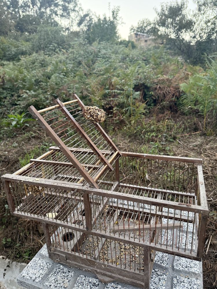 Gaiola em madeira