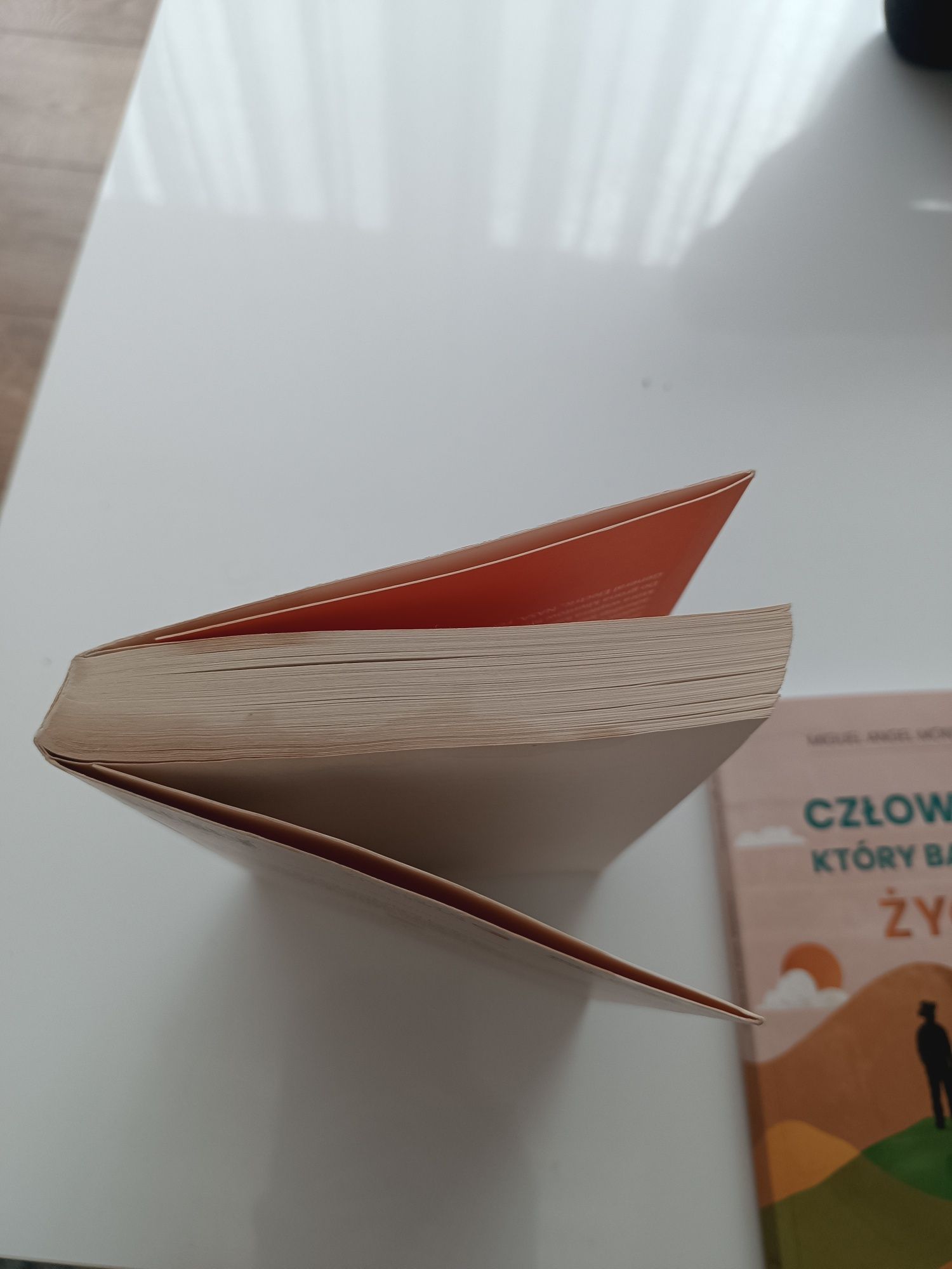 Kto zapłacze nad twoim grobem