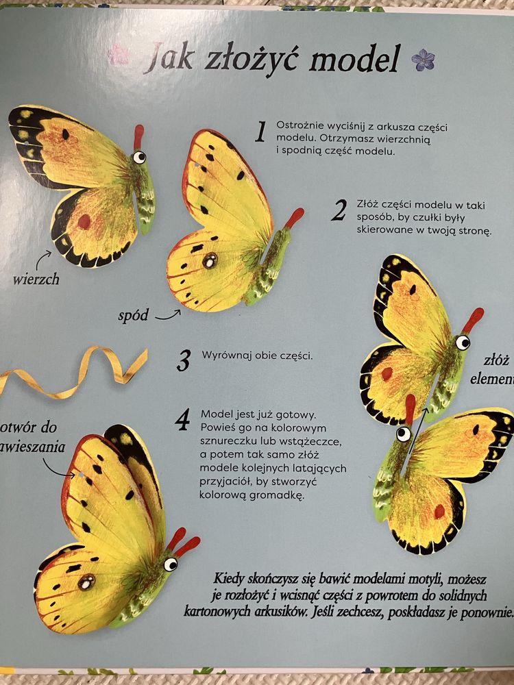 Książka Motyle Młodzi Przyrodnicy Modele do złożenia
