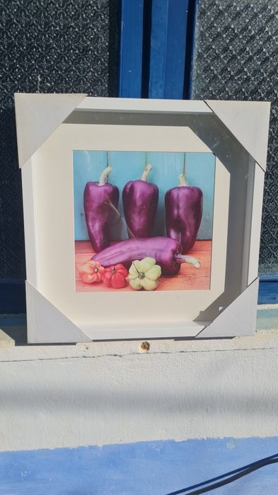 Quadro decorativo com moldura de alta qualidade.