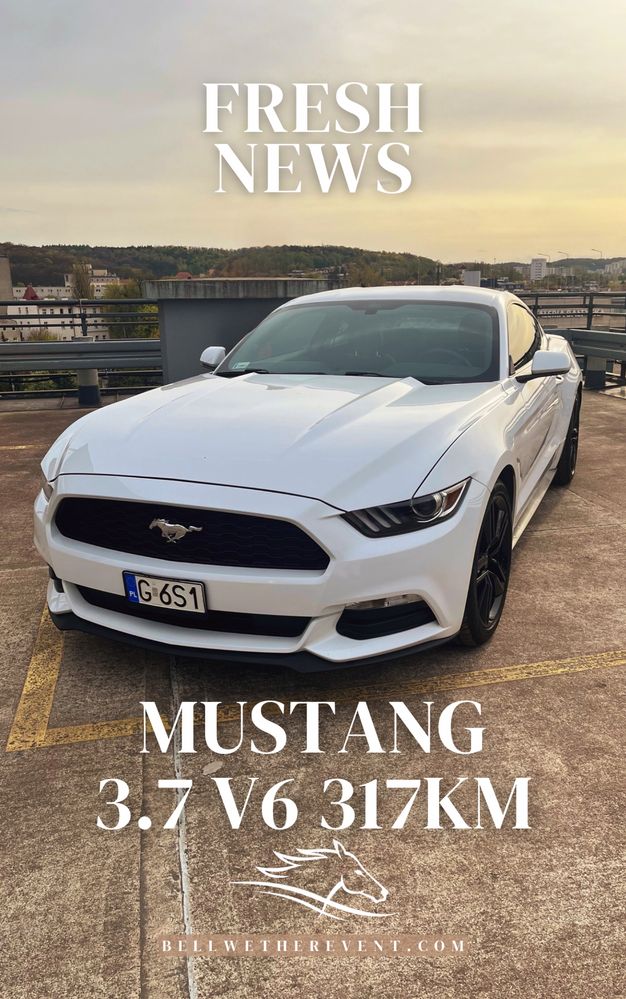 Auto do ślubu, Mustang V6 3.7