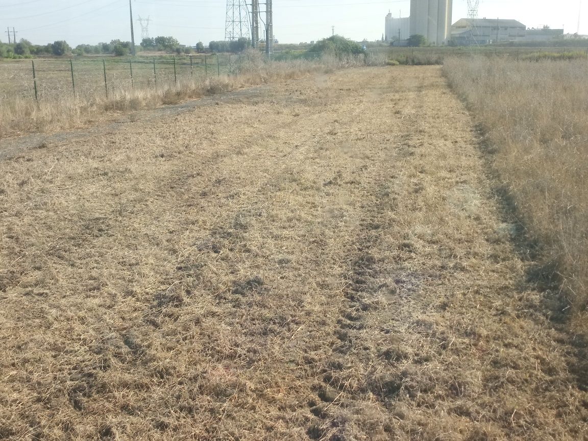 Limpeza de Terrenos e manutenção de jardins