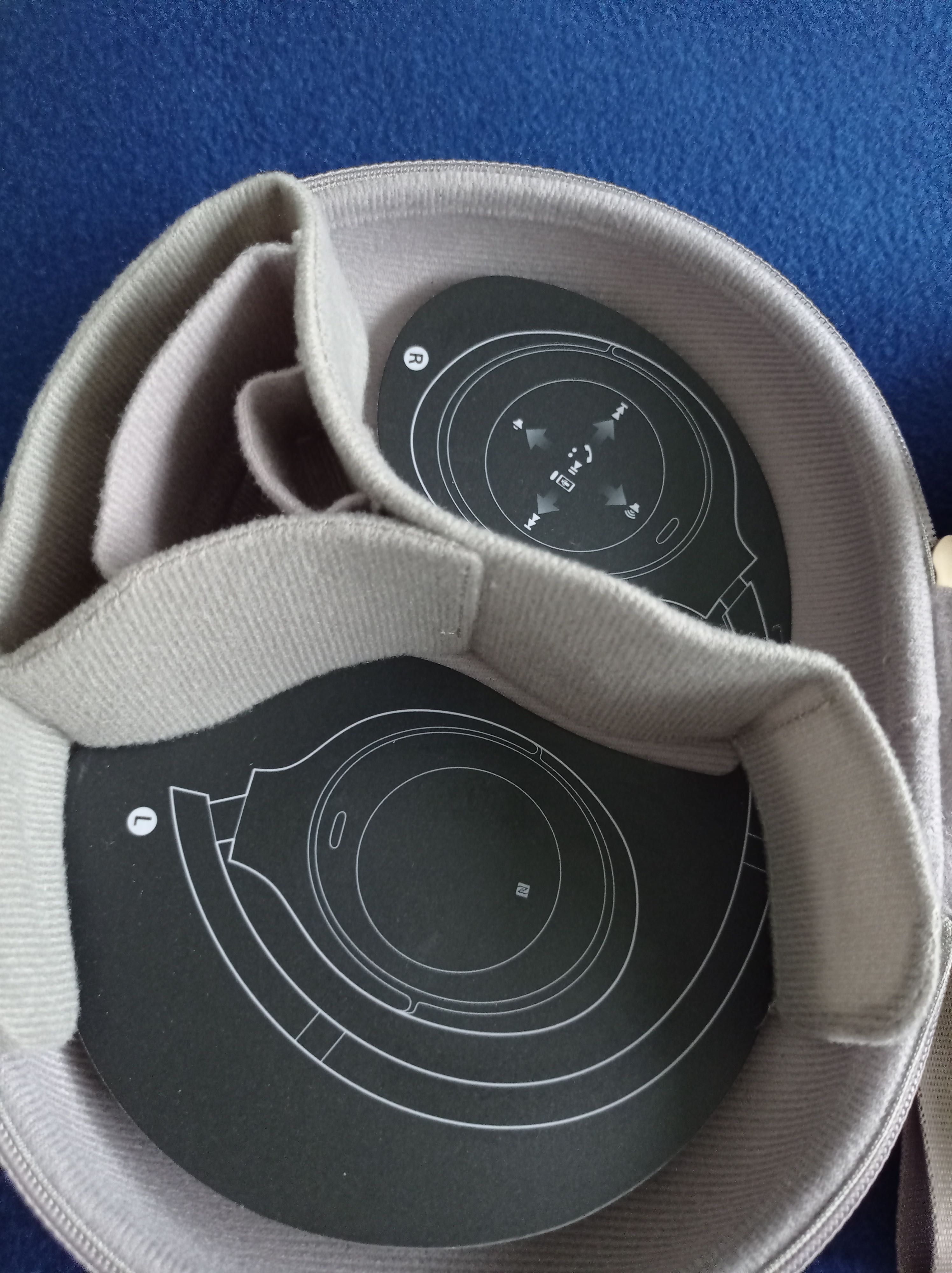 Sony WX1000 Earphones