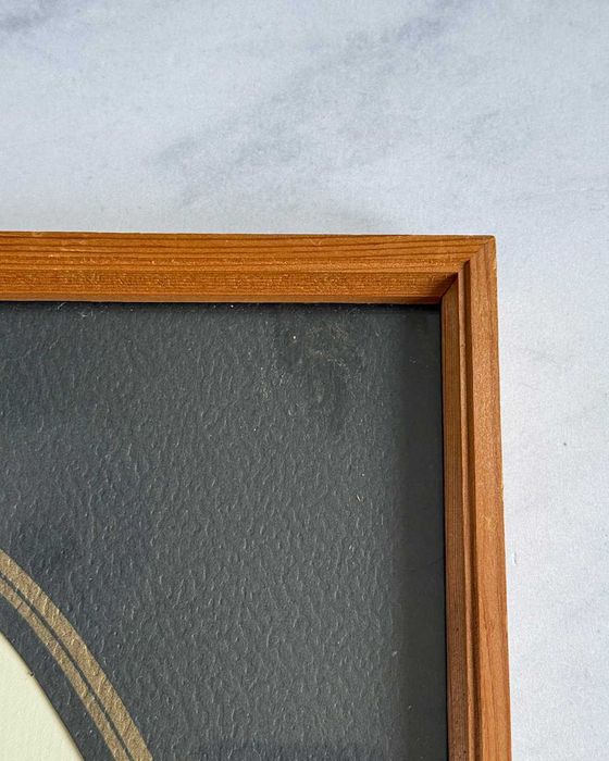 Botaniczny obrazek Rosa canina w drewnianej ramce, vintage