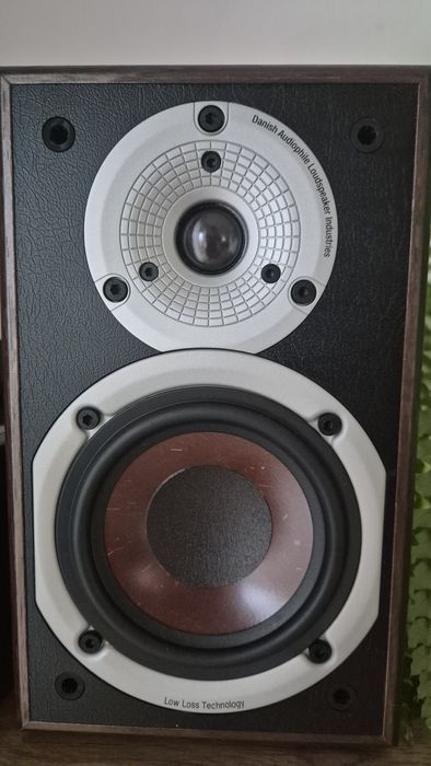 Kolumny Dali Spektor 1