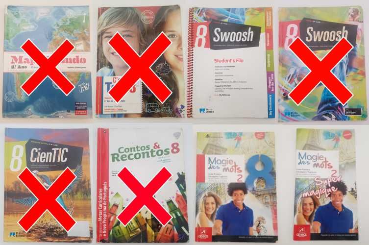 Manuais e Cadernos de atividades 8º Ano Várias Editoras