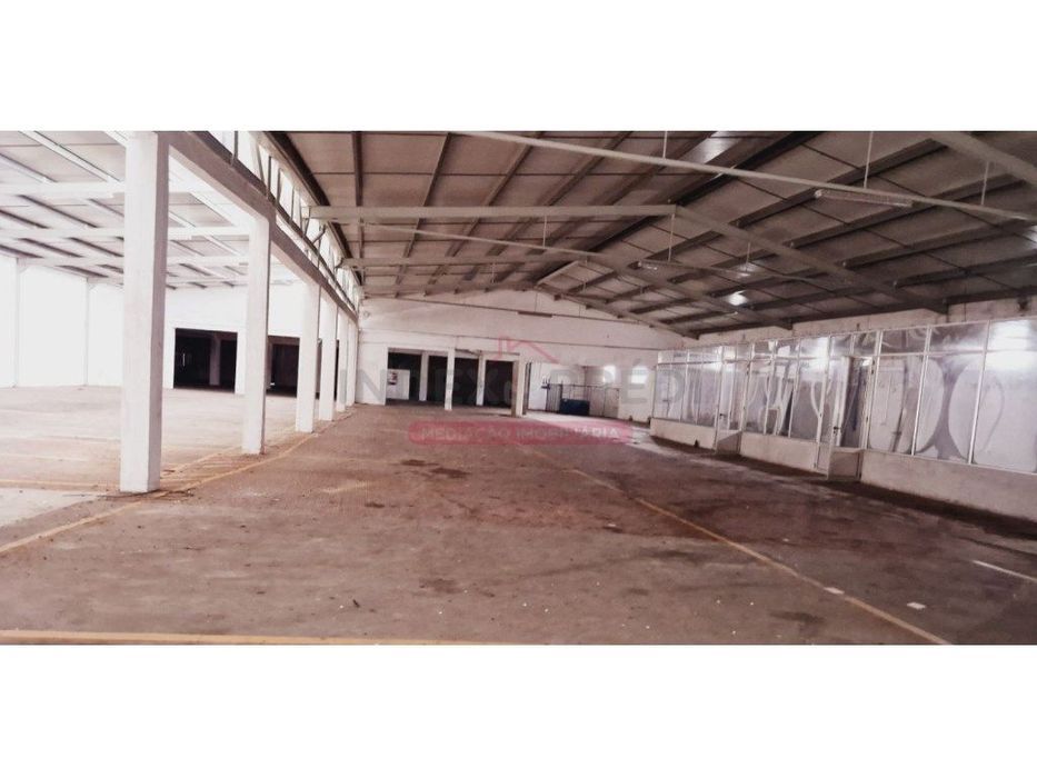 Armazém - Caves - Anadia