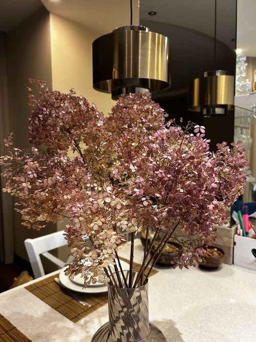 Гортензия сухоцвет, 2025, стабилизировпнная