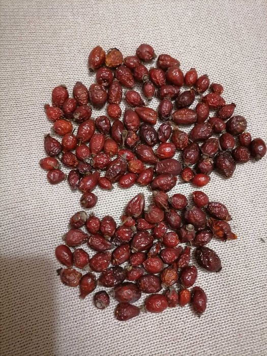 груша лимонка   еко