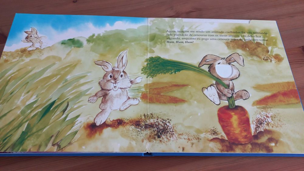 Livro de histórias