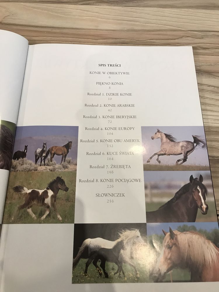 Książka „Piękno konia”