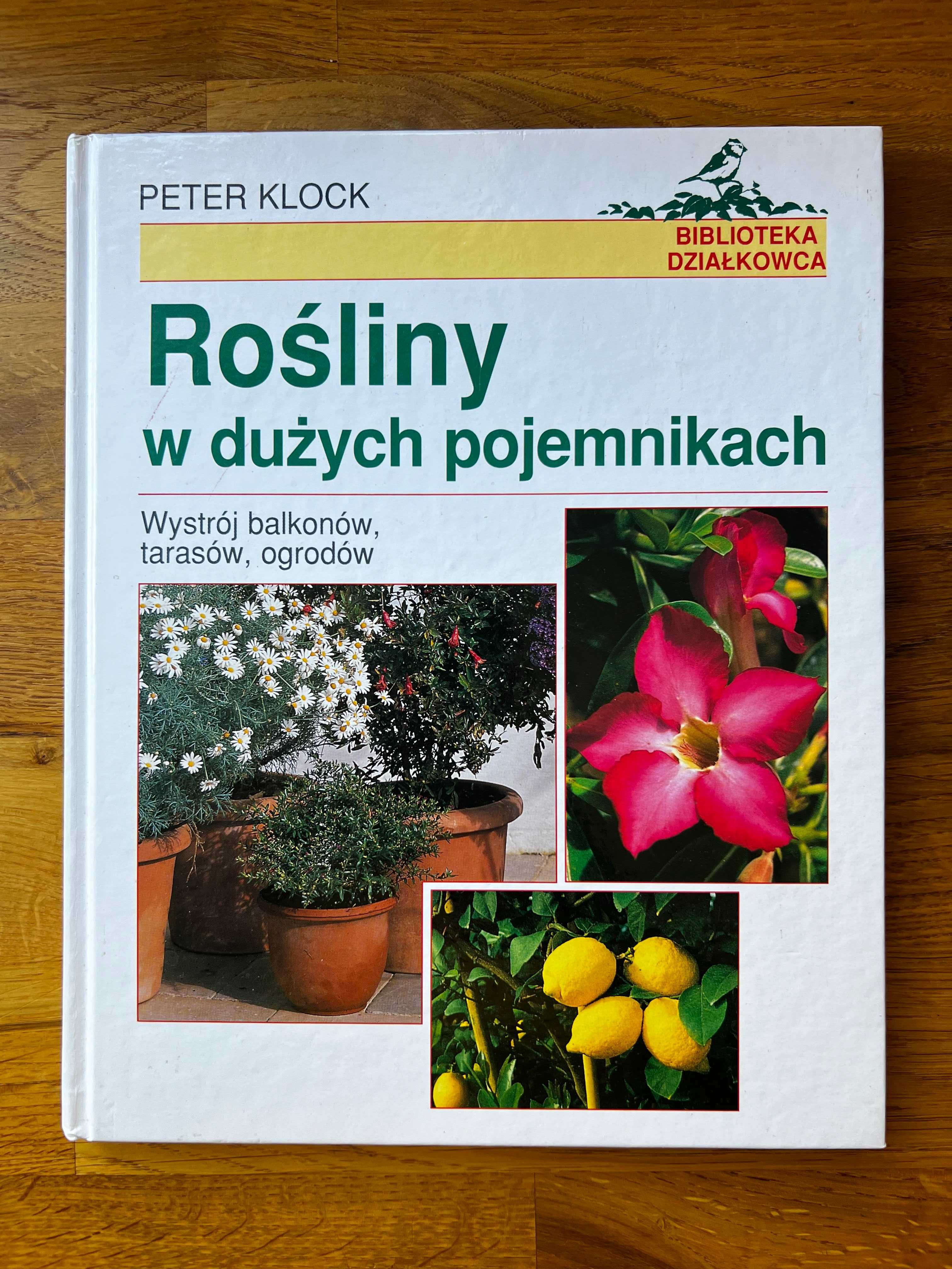 Rośliny w dużych pojemnikach. Wystrój balkonów, tarasów, ogrodów