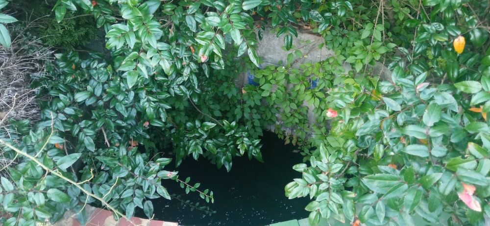 Продам дачу у ст Труд