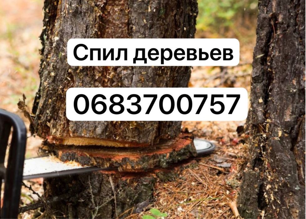 Спил деревьев,кронирование,обрезка,уборка,вывоз