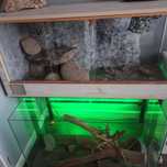 Terarium dwuczęściowe wysokie dla gada, możliwość podzielenia