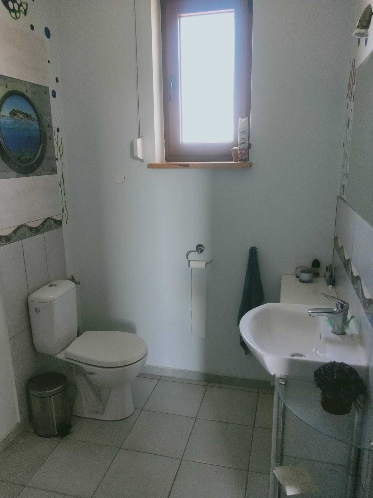 Noclegi domek Wyspa Sobieszewska