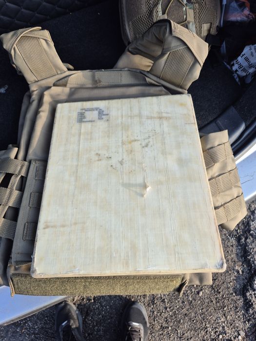 Плитоноска кайот