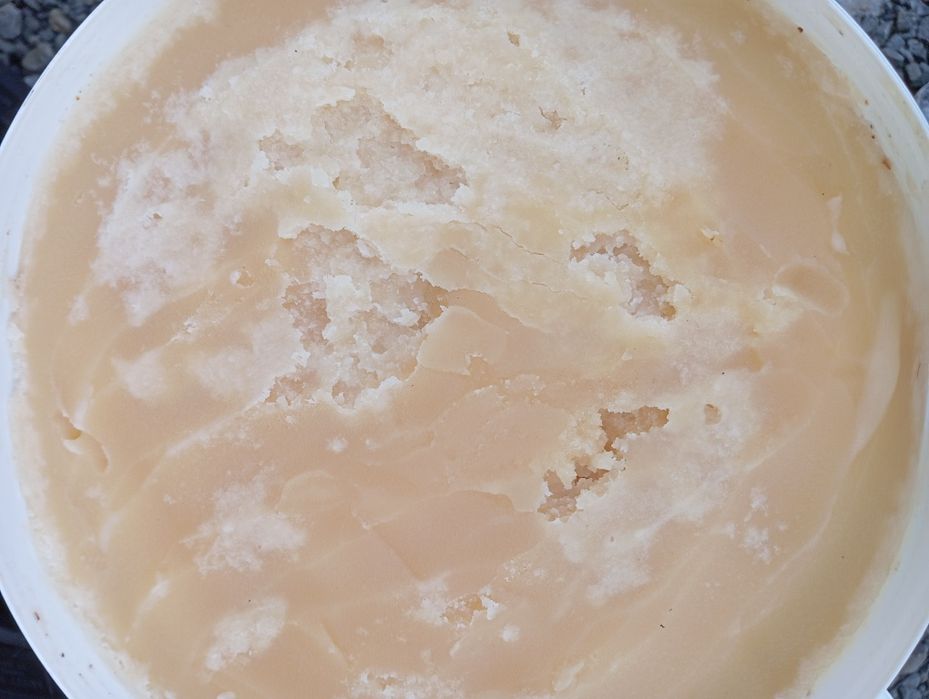 Miód wielokwiatowy, nawlociowy, rdest