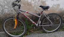 Bicicleta       .