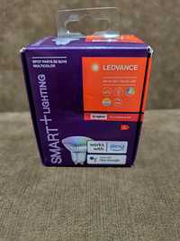 Żarówka Smart Ledvance LED Rgbw Wifi GU10 300lm 4.9W = 28W