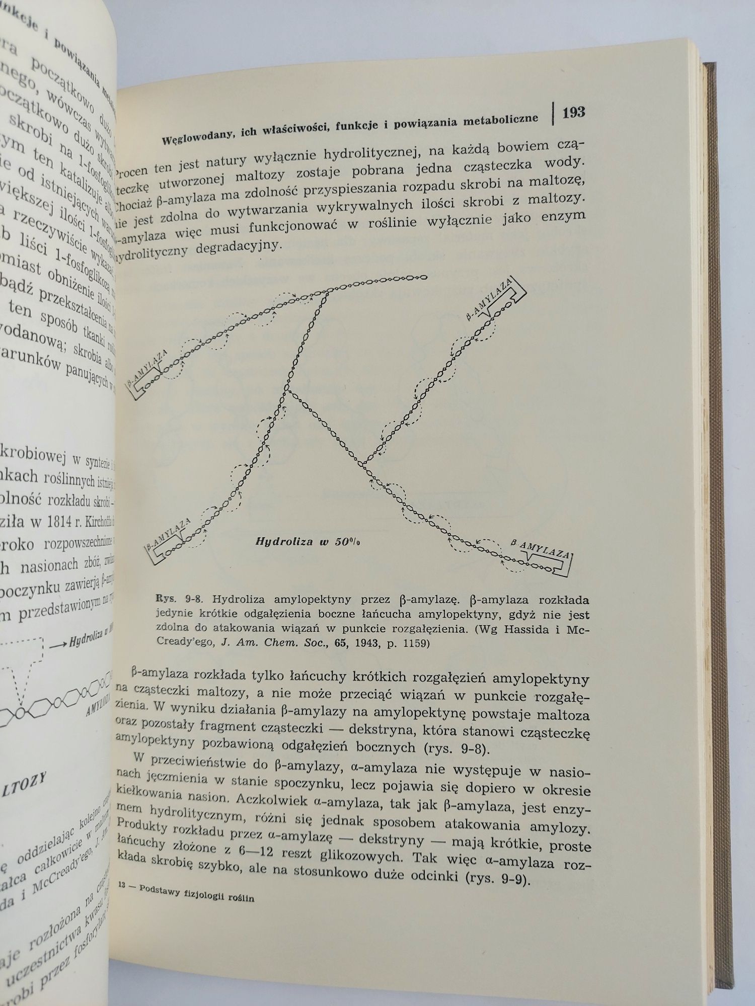 Podstawy fizjologii roślin - J. Bonner, A. Galston