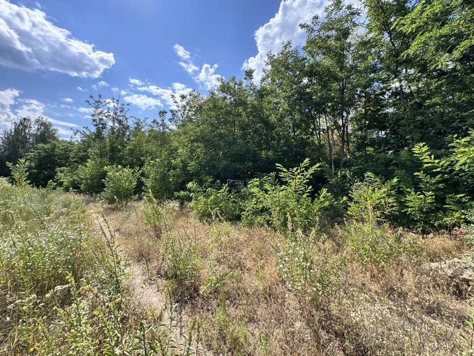 Продаж ділянки біля лісу, 15 соток, с. Гореничи, під будівництво