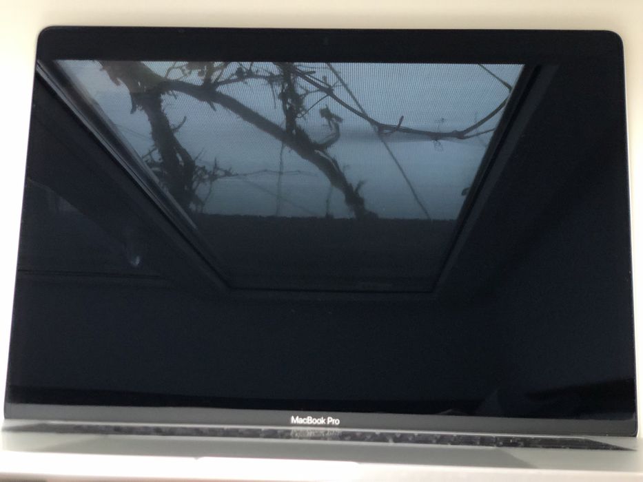 Apple MacBook Pro A1990 на відновлення