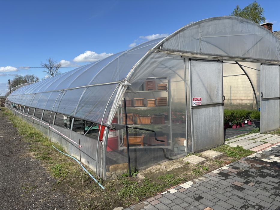 Tunel foliowy Holenderski 50m