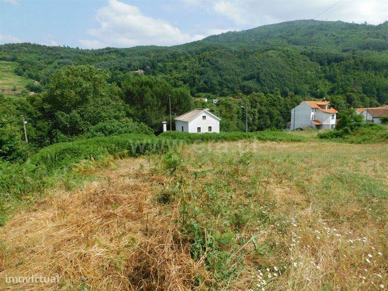 Terreno Urbano / Seia, Sandomil