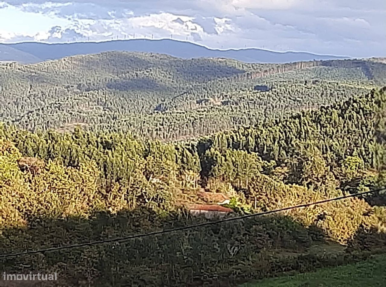 Vende Quinta em Paraíso Castelo Paiva