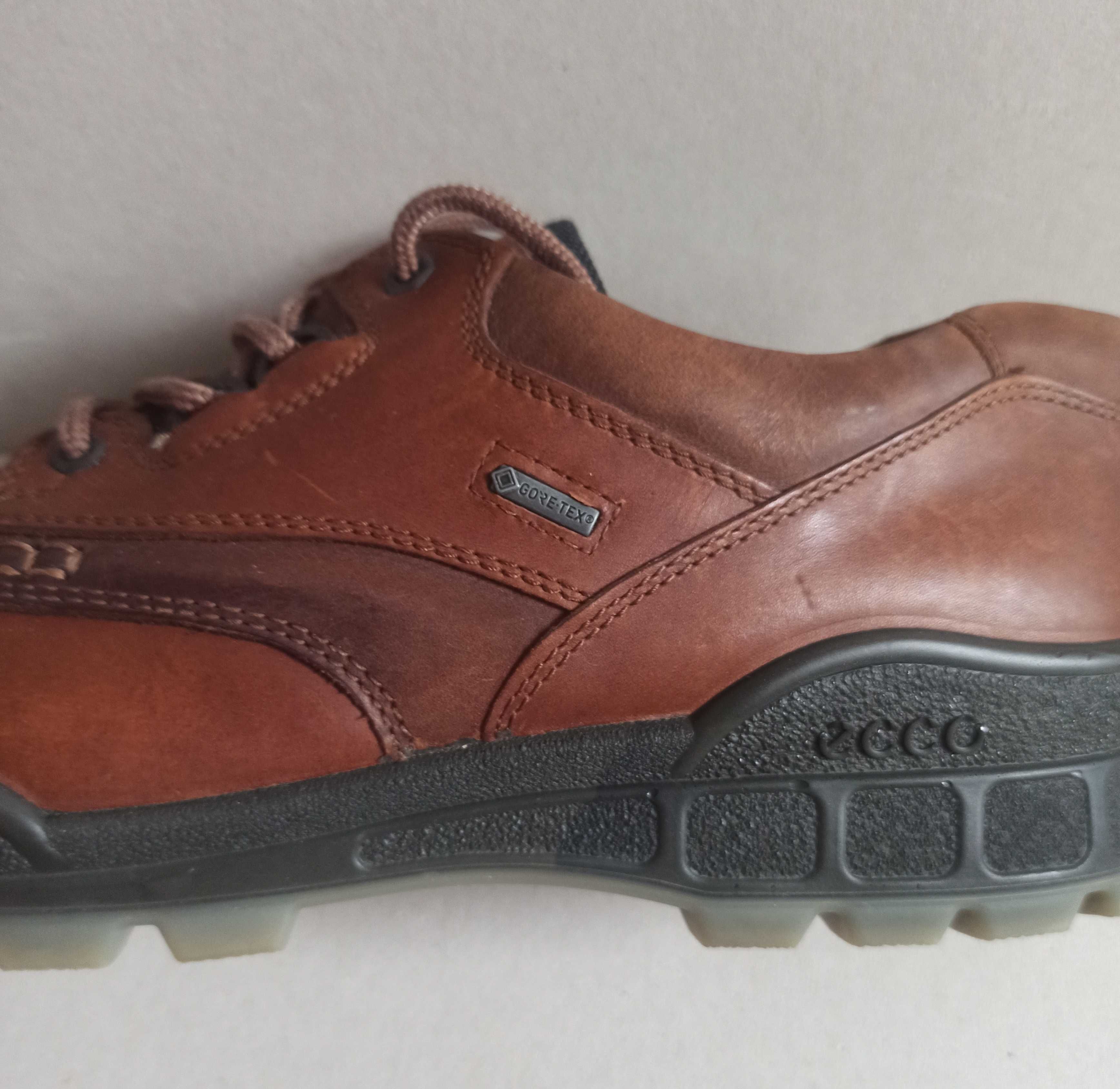 Męskie buty Ecco Truck GTX roz.46 STAN 6-/6