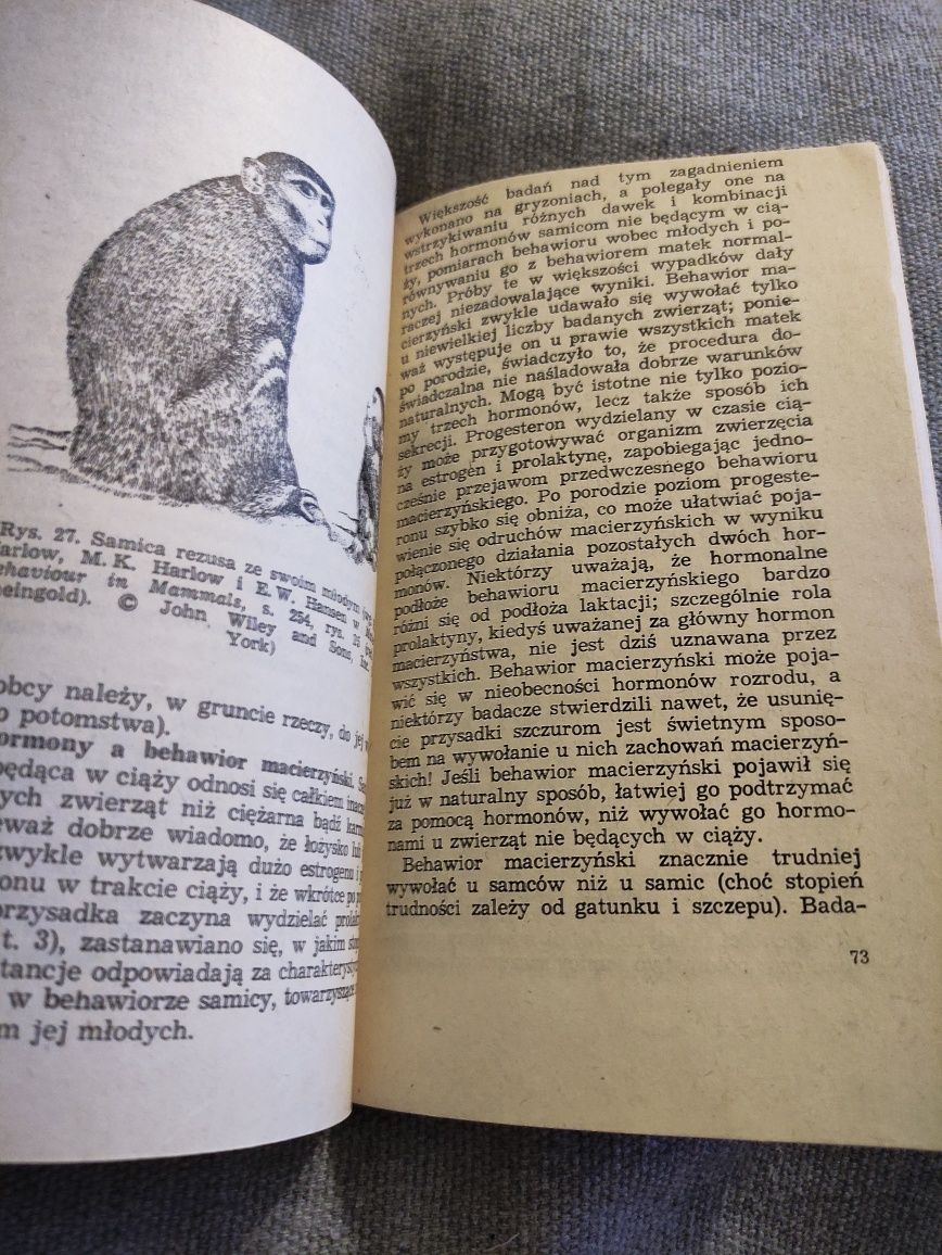 Rozród ssaków biologia rozrodu