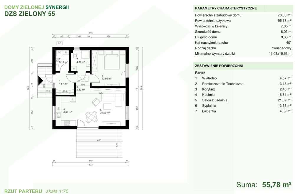 Budowa domów szkieletowych