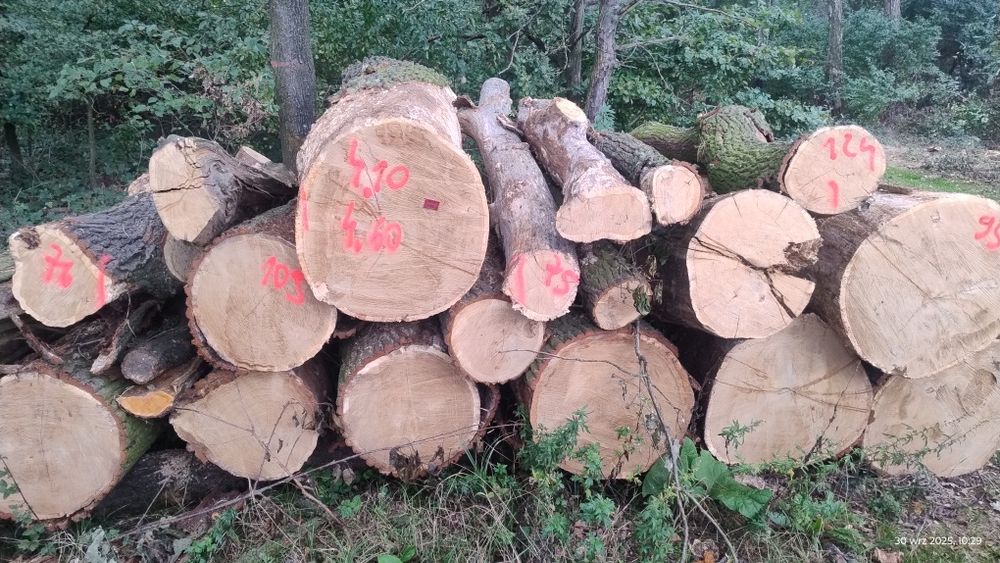 Sprzedam drewno kominkowe opalowe