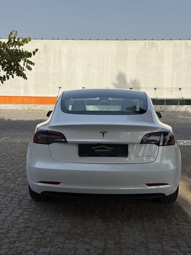 Tesla Long range Dual motor