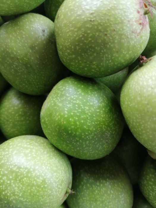 Syrop z orzechów włoskich