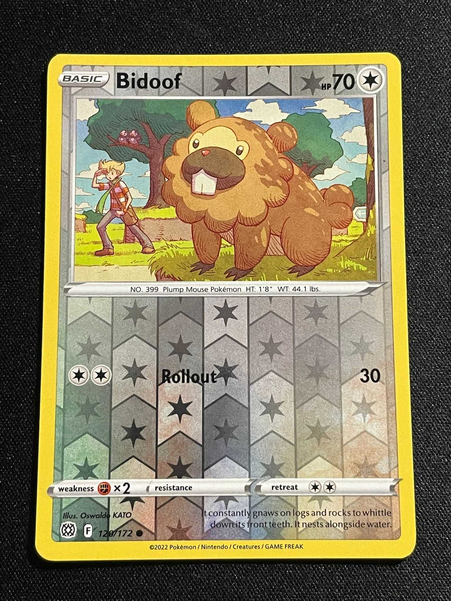 Carta Pokémon Bidoof 120/172 Brilliant Stars