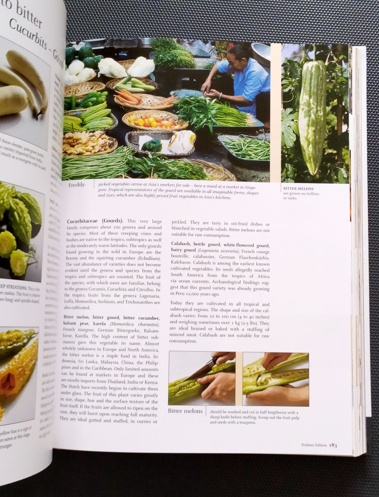 ОВОЩИ и ФРУКТЫ Тойбнер Кулинарная книга Teubner Специи Мясо и Дичь