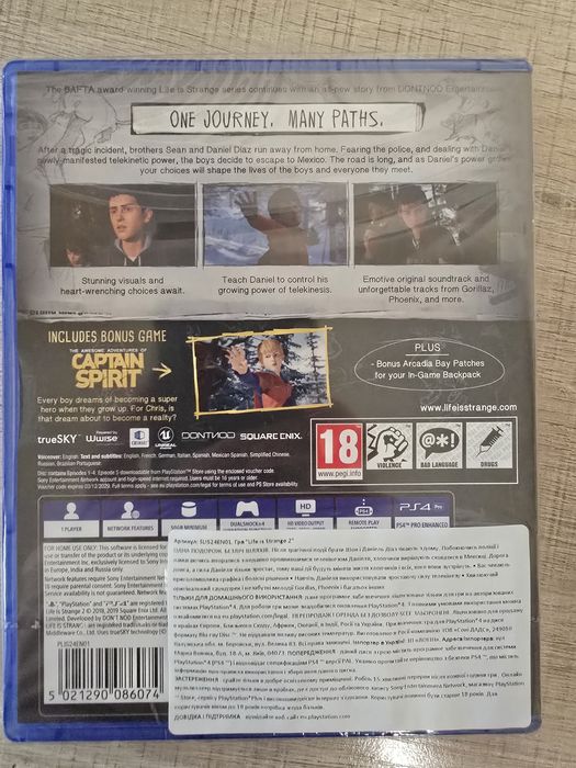 Диск PS4 Life is Strange 2